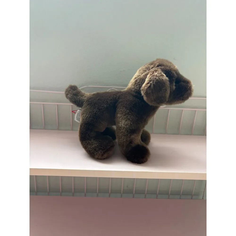 Douglas tucker chocolate lab